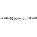 Fix sudo apt-get install openssh-server not working error