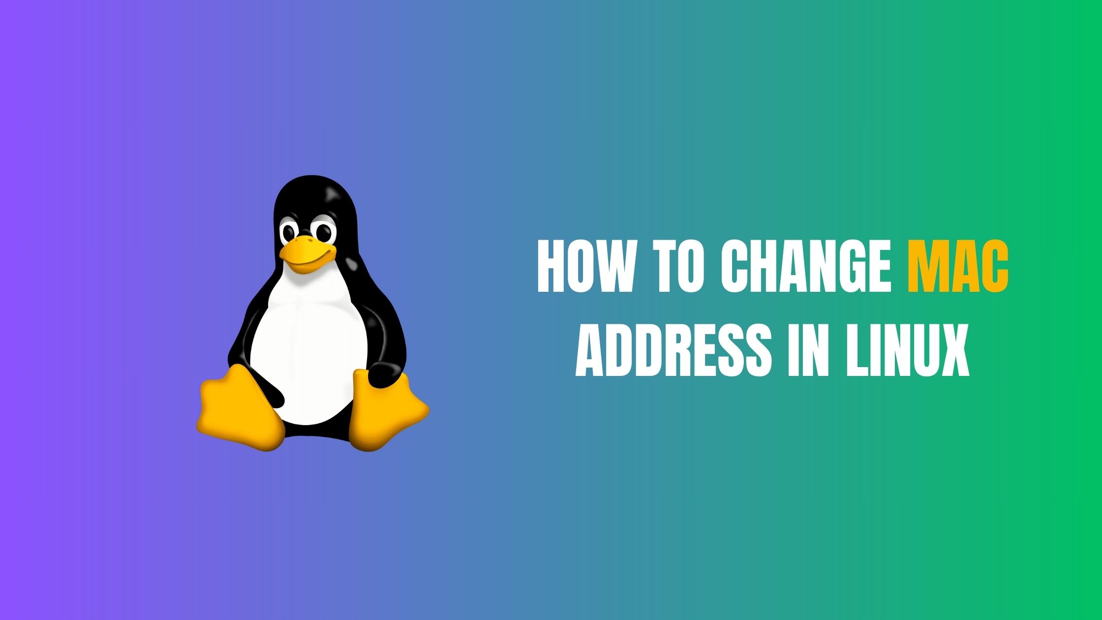 How To Change MAC Address in Linux [2024]