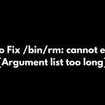 How To Fix /bin/rm: cannot execute [Argument list too long]