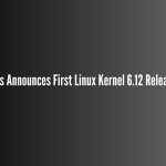 Linus Torvalds Announces First Linux Kernel 6.12 Release Candidate