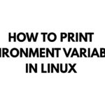 How to Print Environment Variables in Linux